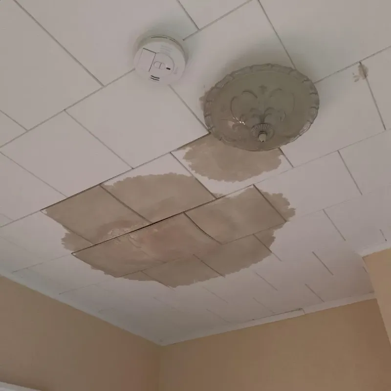 Ceiling Water Damage Repair in State Line, PA